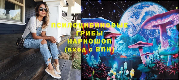ГАЛЛЮЦИНОГЕННЫЕ ГРИБЫ Алзамай
