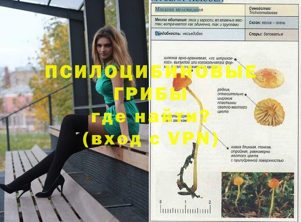 каннабис Абинск