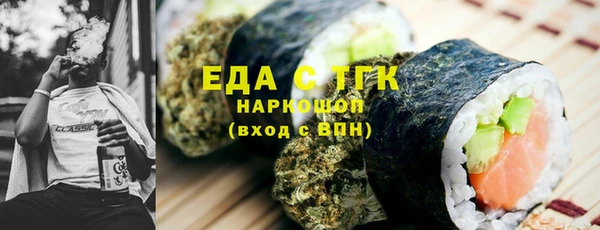 хмурый Алексин