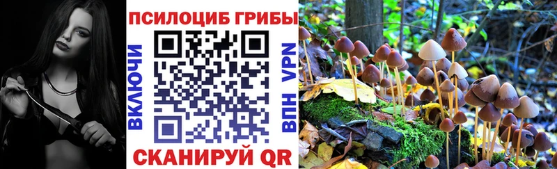 Псилоцибиновые грибы ЛСД  продажа наркотиков  Раменское 
