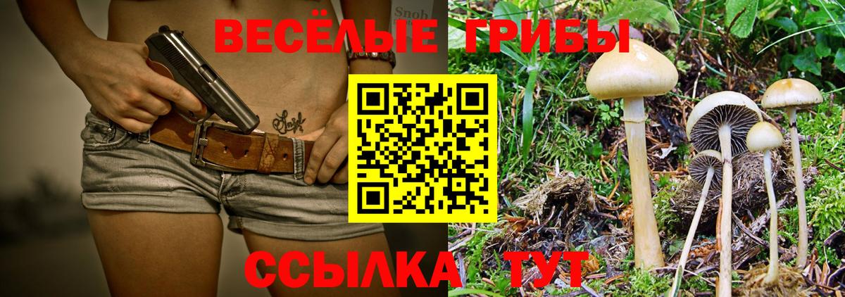 Псилоцибиновые грибы Magic Shrooms Раменское