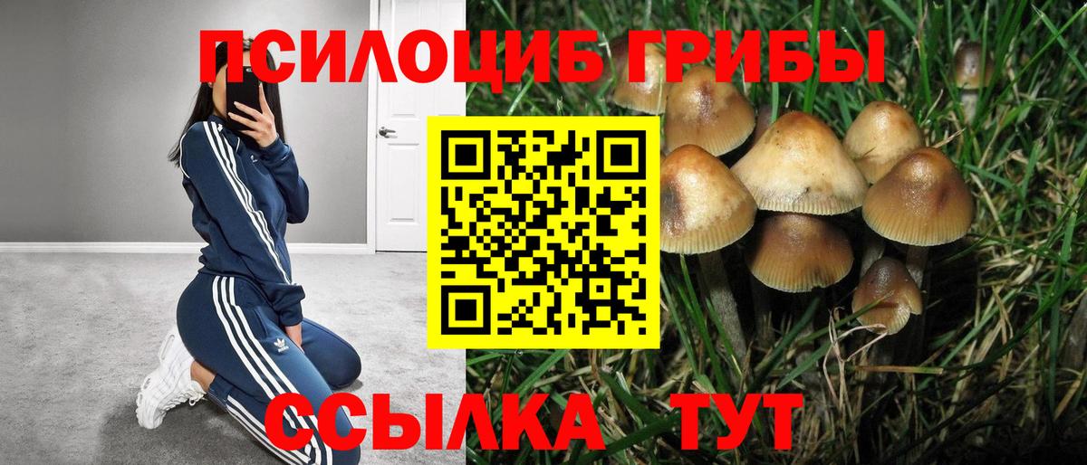 Псилоцибиновые грибы прущие грибы  Вход с VPN  Псилоцибиновые грибы Magic Shrooms  наркота  Раменское 